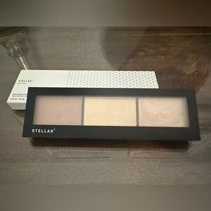 NWT, NIB: Stellar, Monika Deol, Umbra Face Sculptor